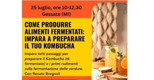 25 luglio: Impara a preparare il tuo Kombucha